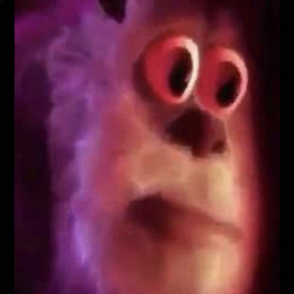 Meet your Posher, Calvin - Picture 1 of 1